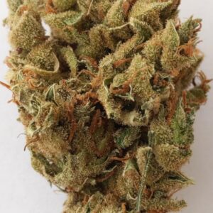 1g [lumpy space princess] limited Discount - medical grade