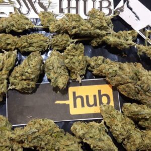 100 Grams Dutch HAZE TOP NOTCH Quality BUD/ WEED/ CANNABIS/ MARIJUANA