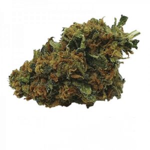 5g ** MONSTER x PRINCESS x MEDICINE MAN ** Top Shelf Indoor