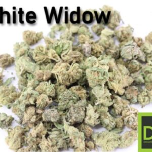 14g White Widow / Limited quantities! / Classic OG / DreamWeaver