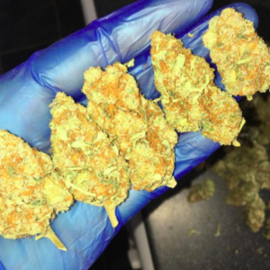 3.5g Kosher Kush Spanish Grown