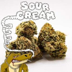 5g Sour Cream