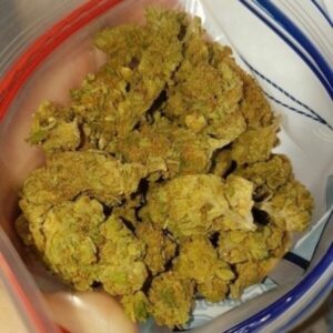28g G13 Haze! - Import *High Quality* - FREE NDD SHIPPING