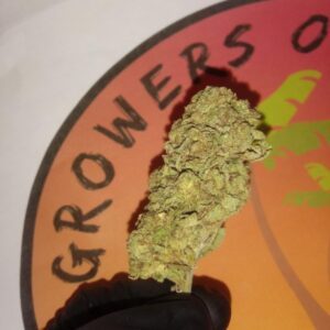 Gorilla Glue #4 14g Free Shipping