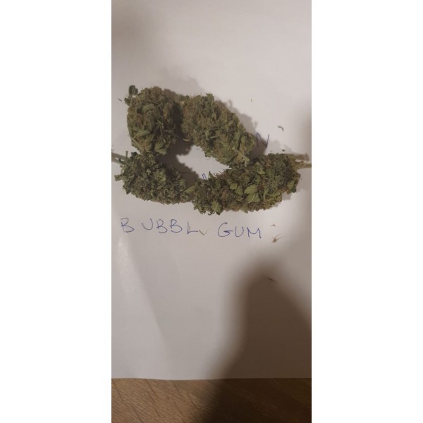 28g Bubblegum £156.8