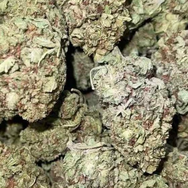 14 g Bio White Widow Weed AAA+